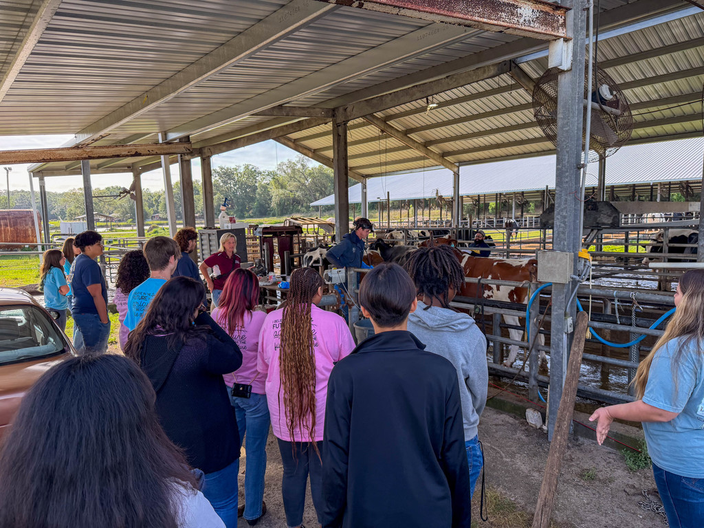 Armwood Agriculture students visit M&B Dairy in Lecanto