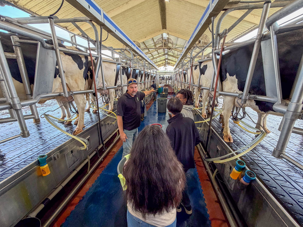 Armwood Agriculture students visit M&B Dairy in Lecanto