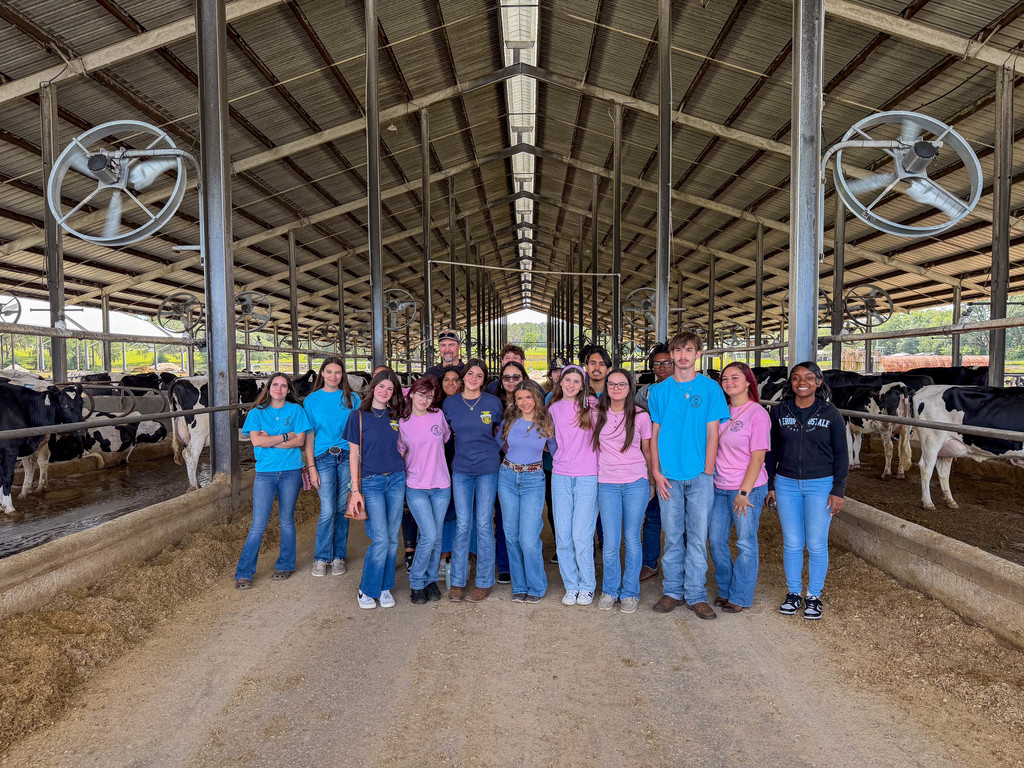 Armwood Agriculture students visit M&B Dairy in Lecanto