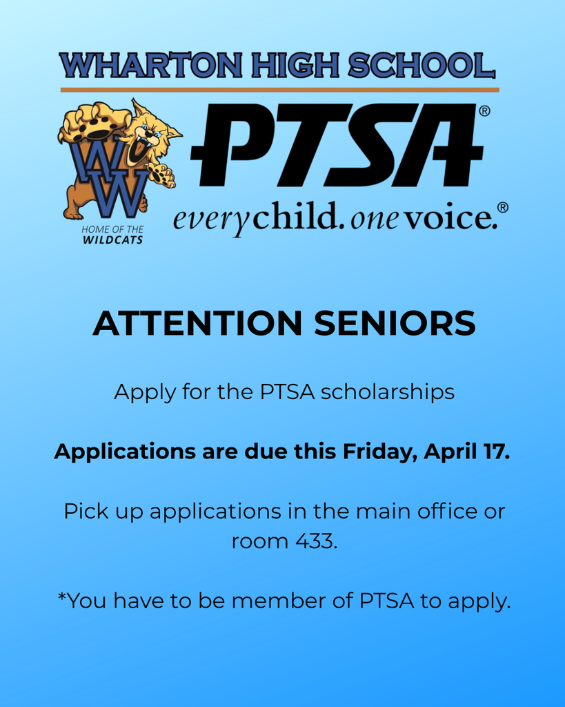 senior scholarships