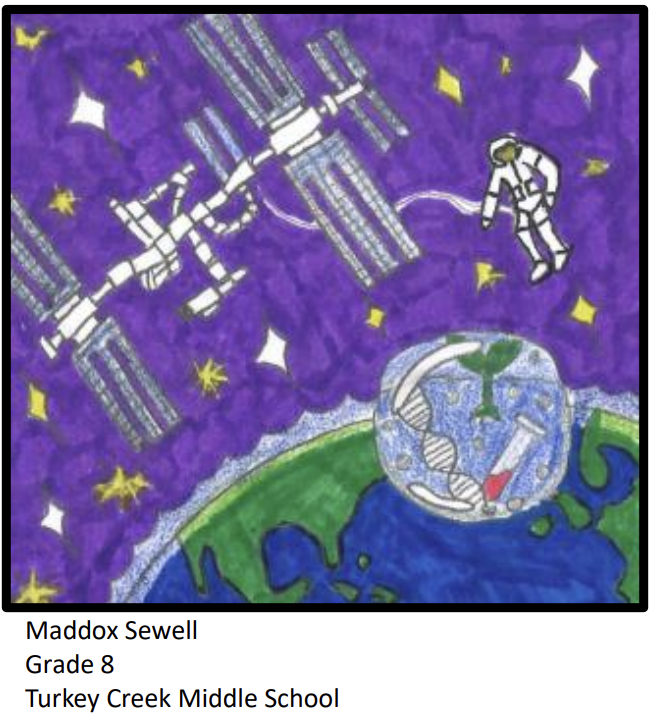 Mission Patch Competition Winners - Design