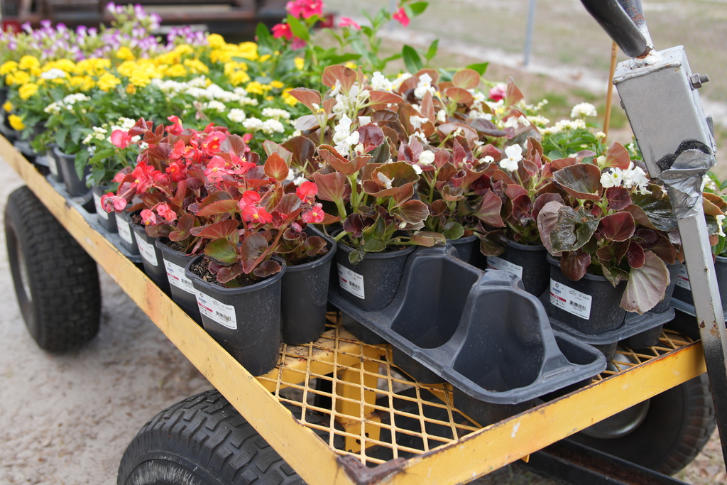 Durant FFA Plant Sale