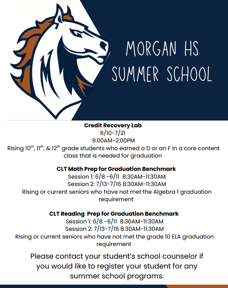 Summer School FLyer