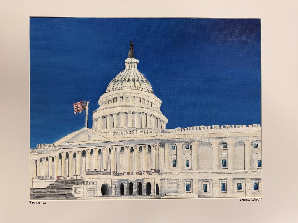 1st Place - Ireland Cates, Bloomingdale High