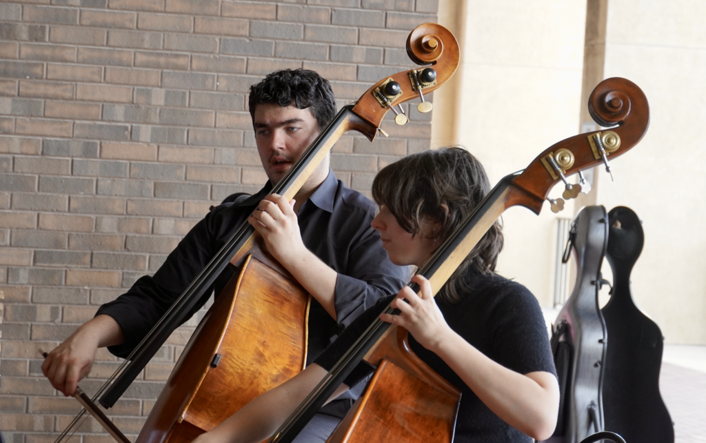 Plant High School orchestra performing before board meeting