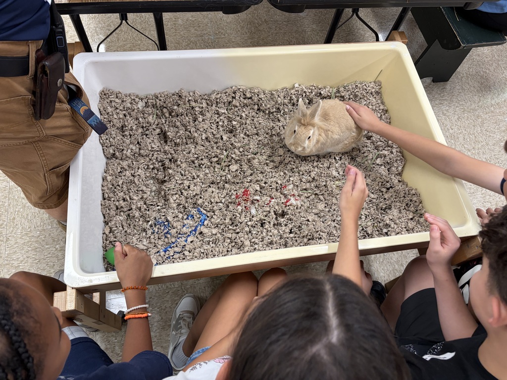 Group of students surrounding a container with a bunny rabbit 