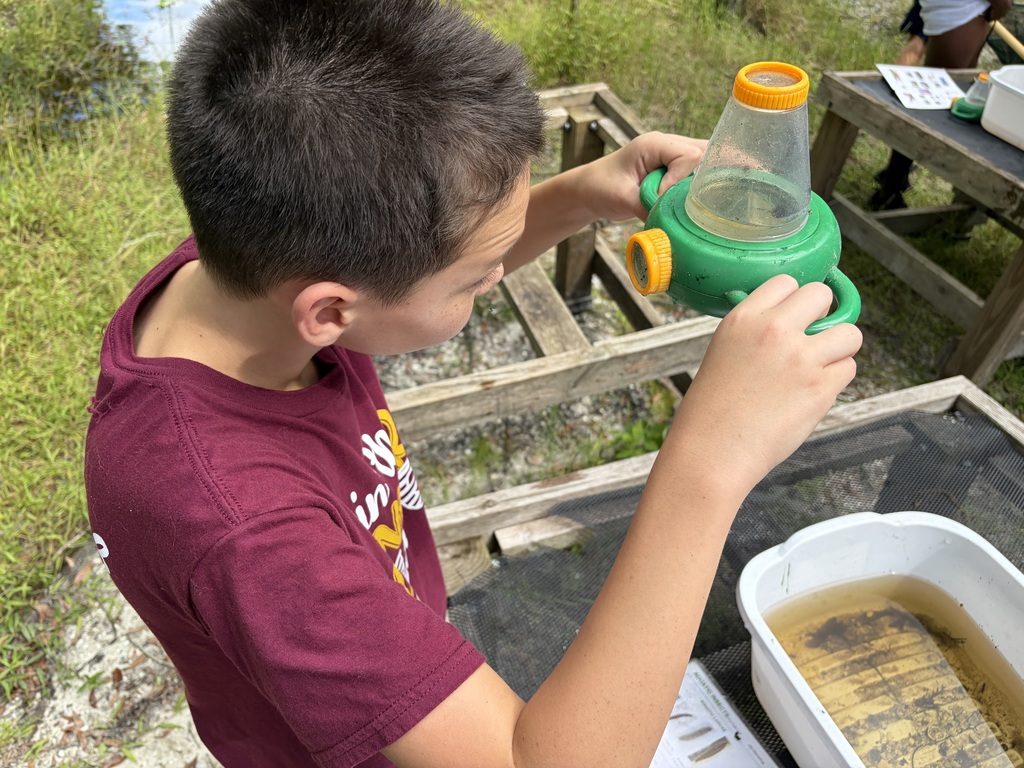 Male student looking at a bug in a small container