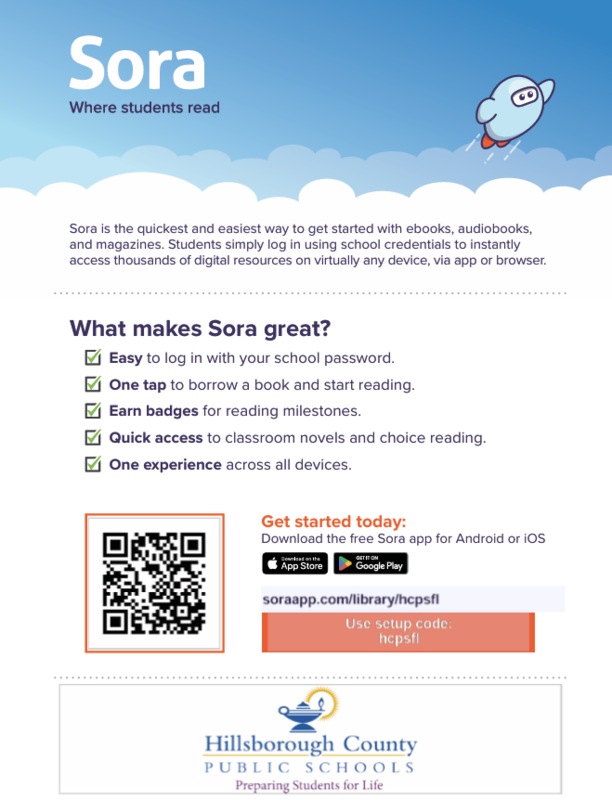 Access Sora