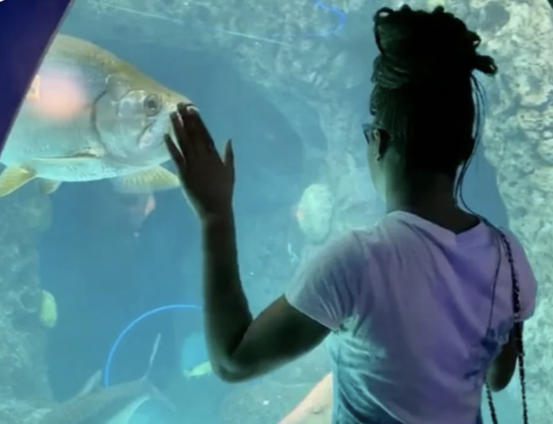 Student at the aquarium