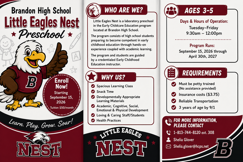 Little Eagles Preschool Flyer