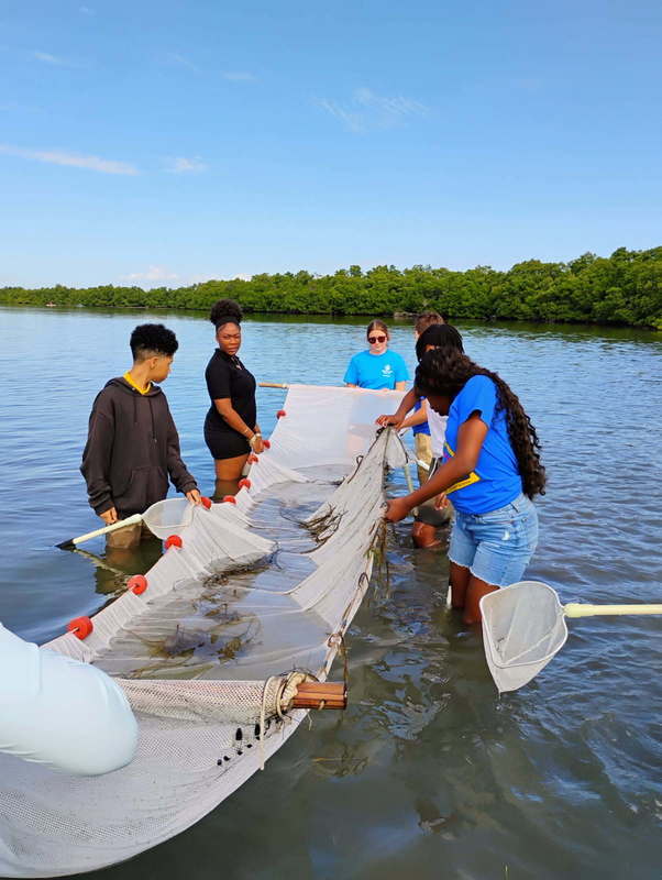 Casting our nets wide