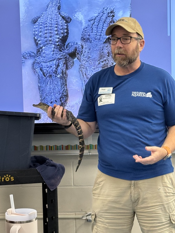 Florida AquariumVisit to talk about alligators 
