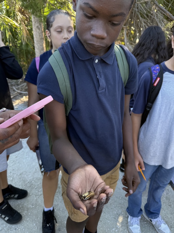 Manatee Viewing at TECO Electric Field Trip