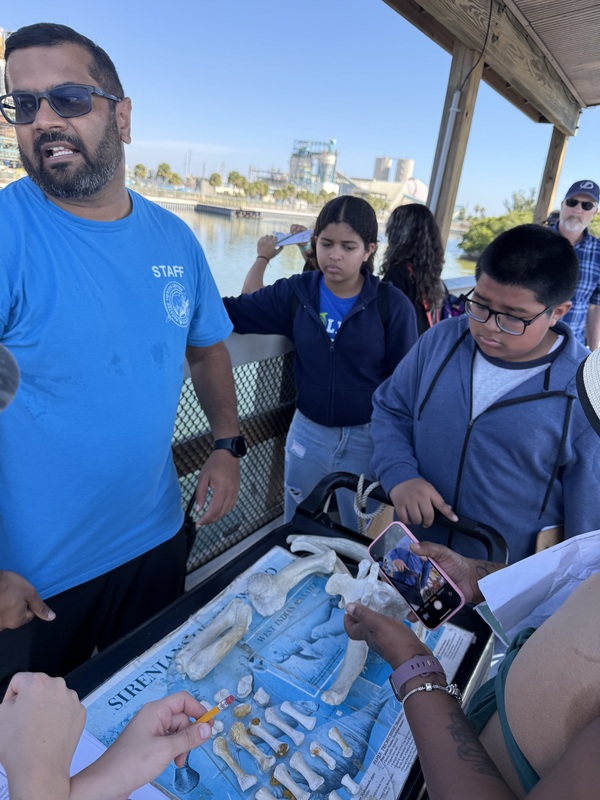 Manatee Viewing at TECO Electric Field Trip