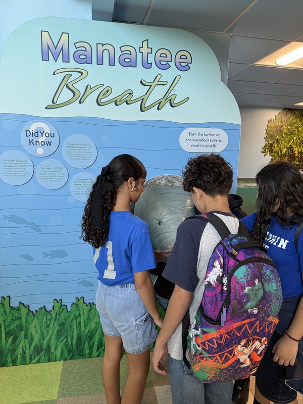 Manatee Viewing at TECO Electric Field Trip