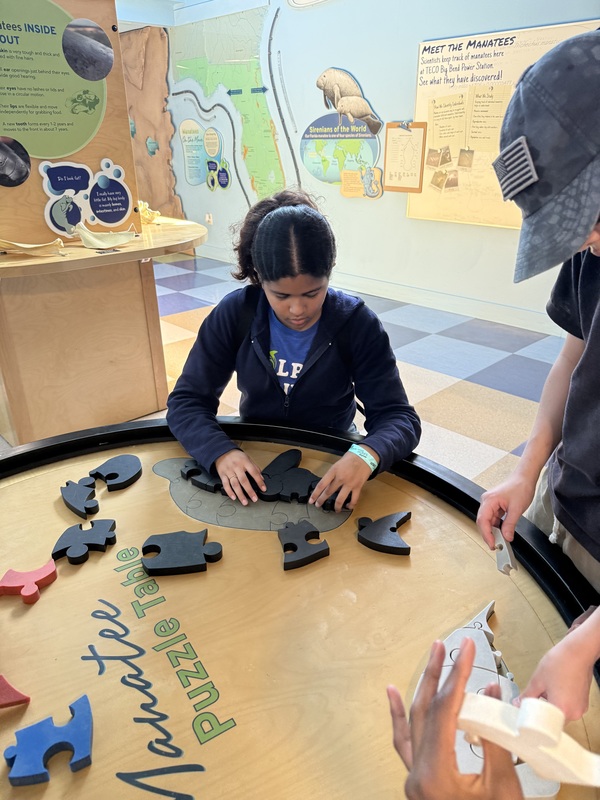 Manatee Viewing at TECO Electric Field Trip