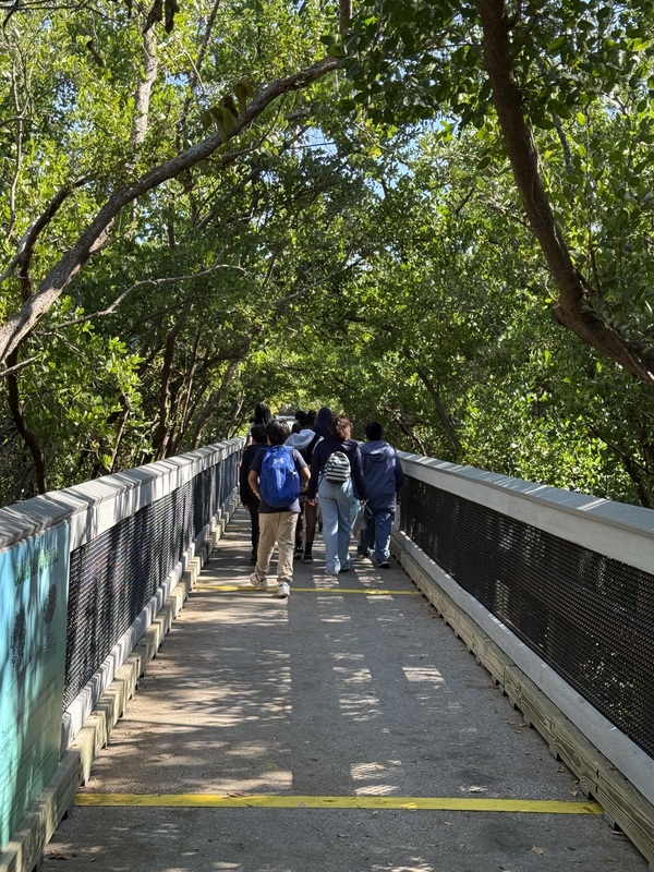 Manatee Viewing at TECO Electric Field Trip