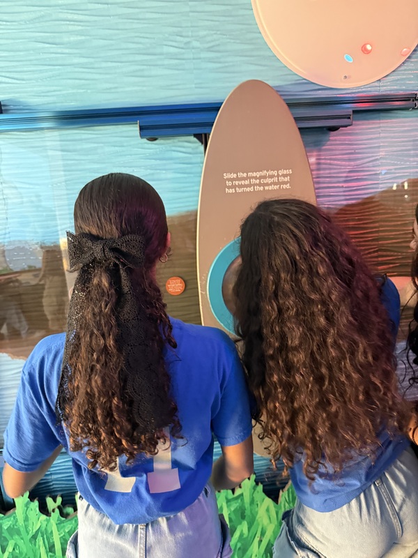 Manatee Viewing at TECO Electric Field Trip