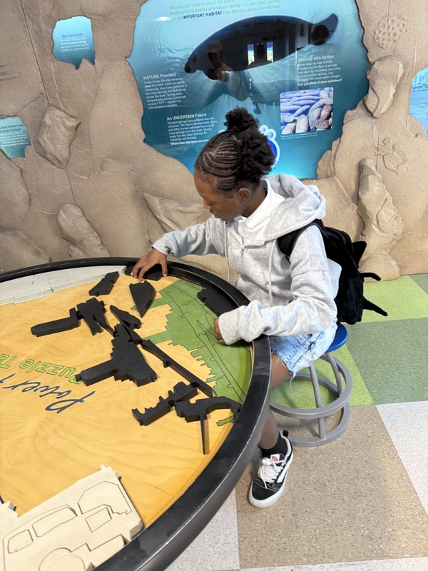 Manatee Viewing at TECO Electric Field Trip