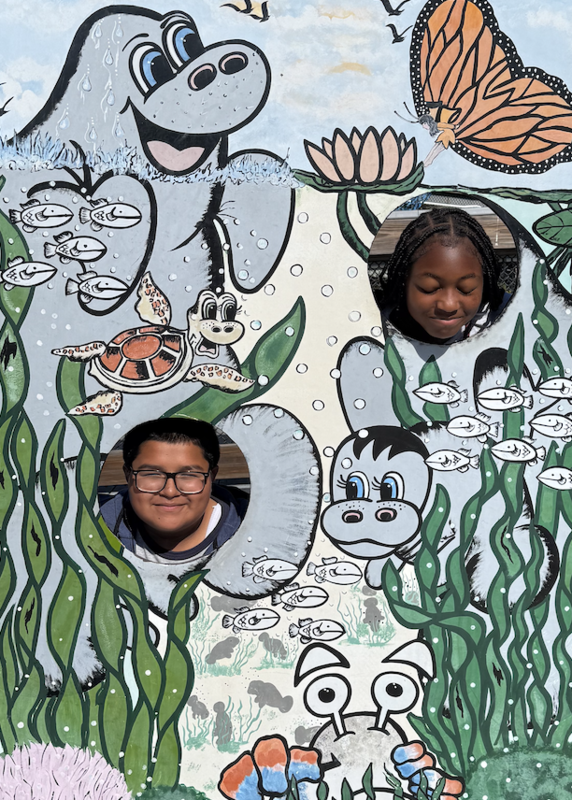 Manatee Viewing at TECO Electric Field Trip