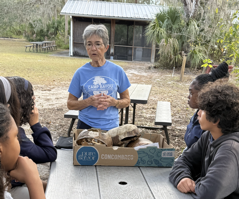 Gopher Tortoise lesson