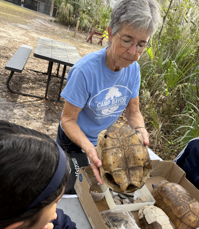 gopher tortoise lesson
