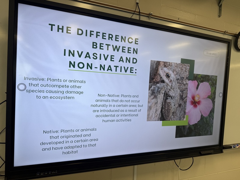 Keep Tampa Bay Beautiful 