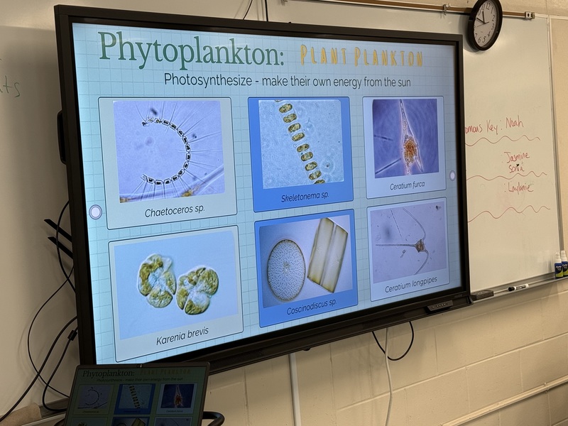 learning about plankton