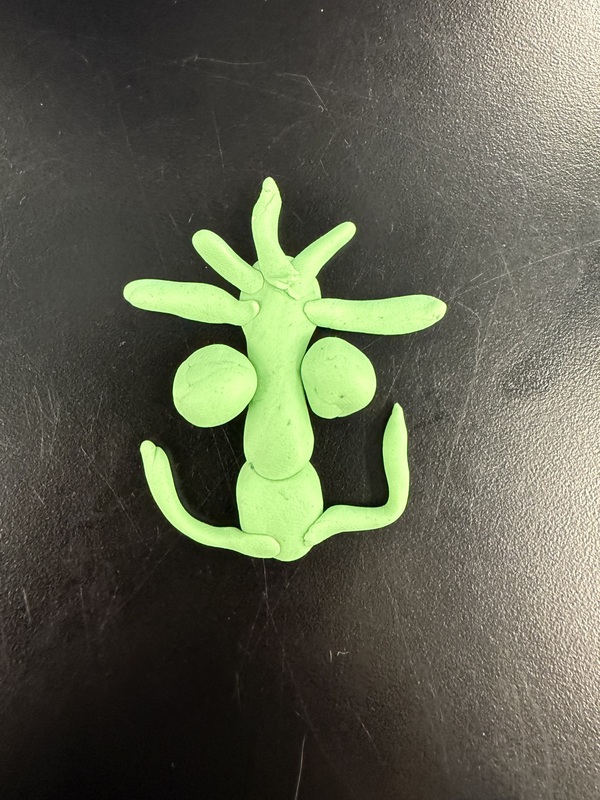 plankton model