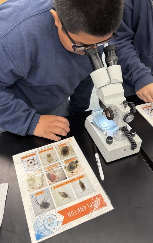 student looking at plankton