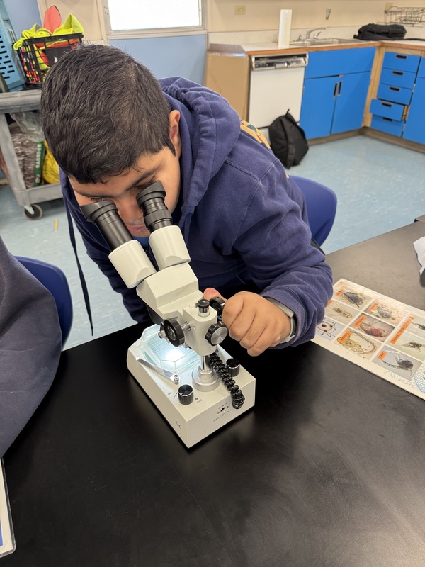 student looking at plankton