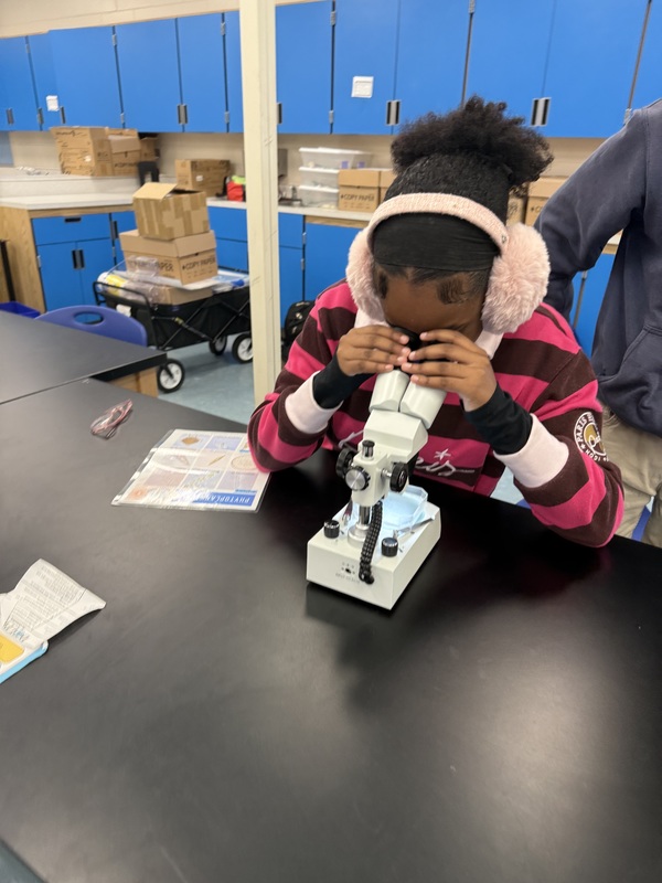 student looking at plankton