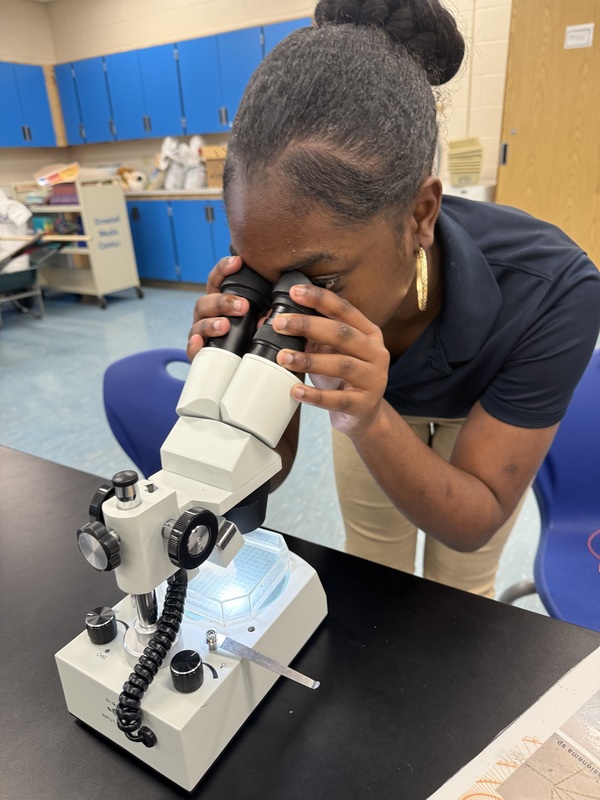 student viewing plankton