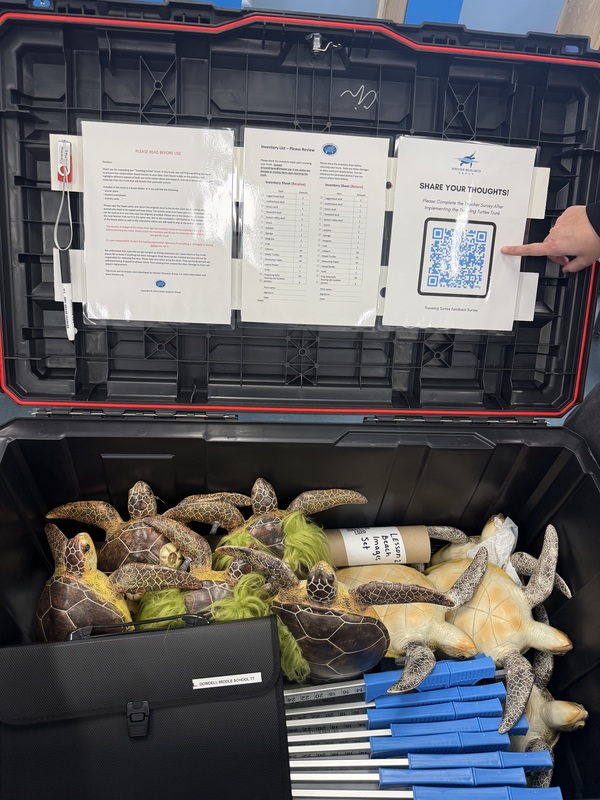 InWater -Traveling Sea Turtle Trunks