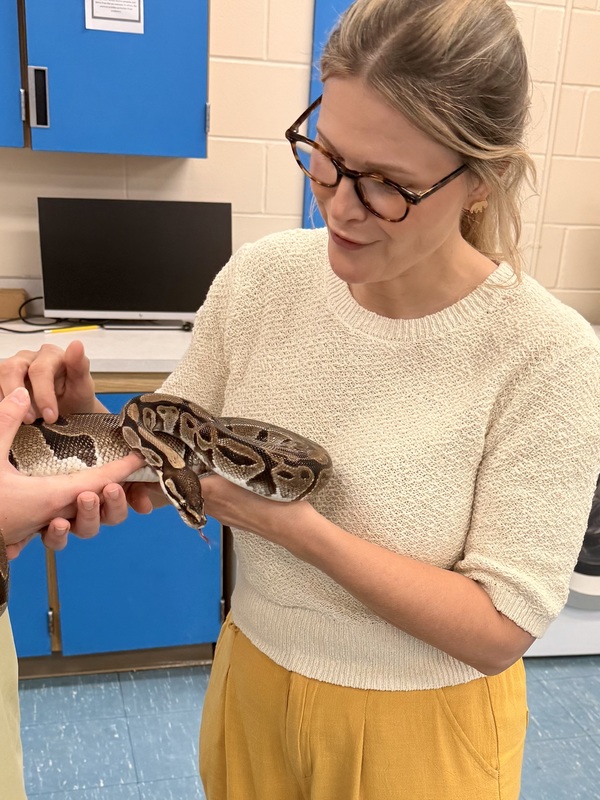 Sammy the Ball Python