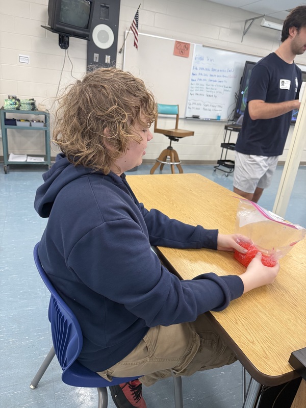 Mimicking amphibian eggs