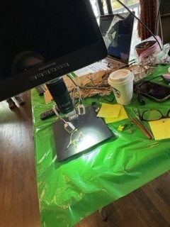 HOPE in Action Summit