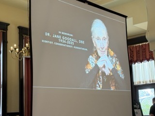 HOPE in Action Summit