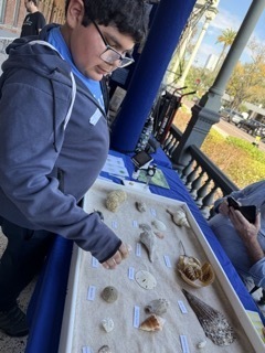 HOPE in Action Summit