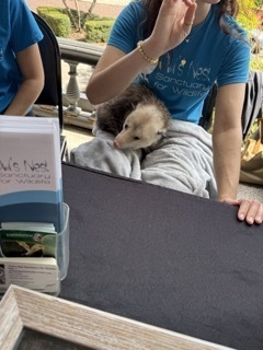 HOPE in Action Summit