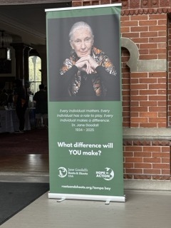 HOPE in Action Summit