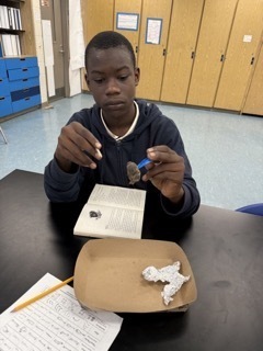 Owl Pellet Dissection