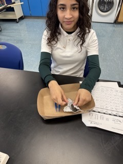 Owl Pellet Dissection