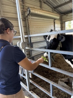 visiting the animals