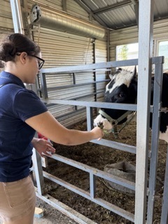 visiting the animals