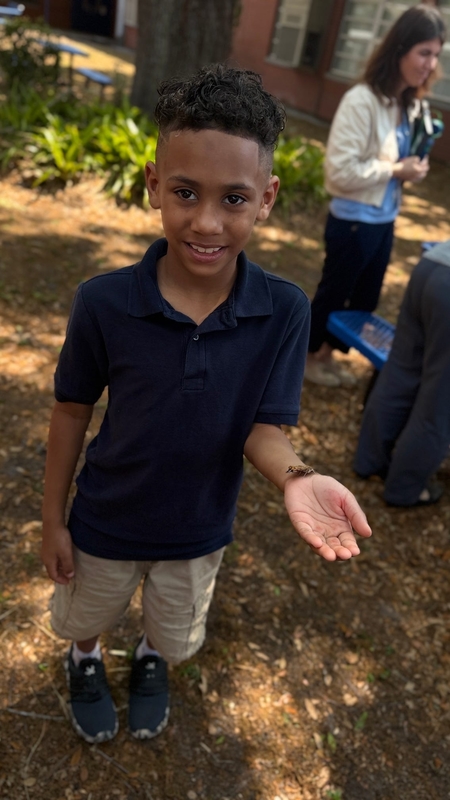 butterfly garden