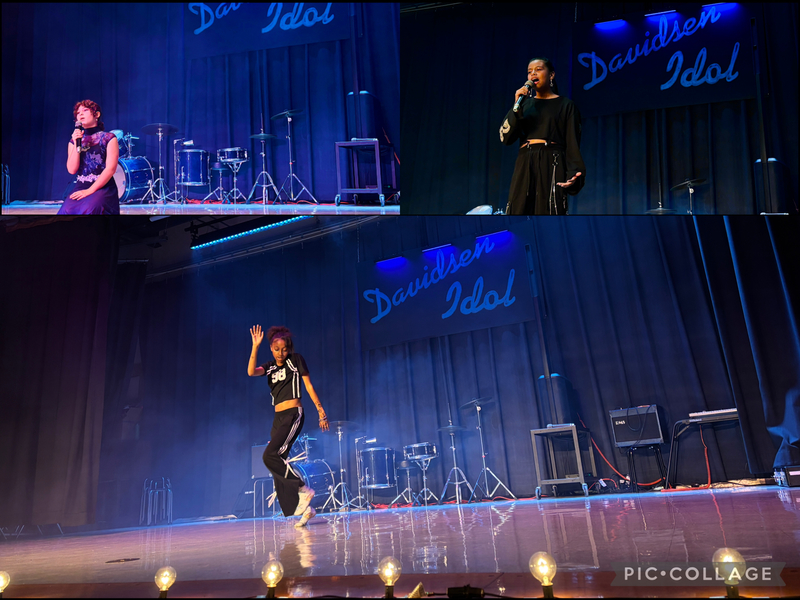 Davidsen Idol 2026