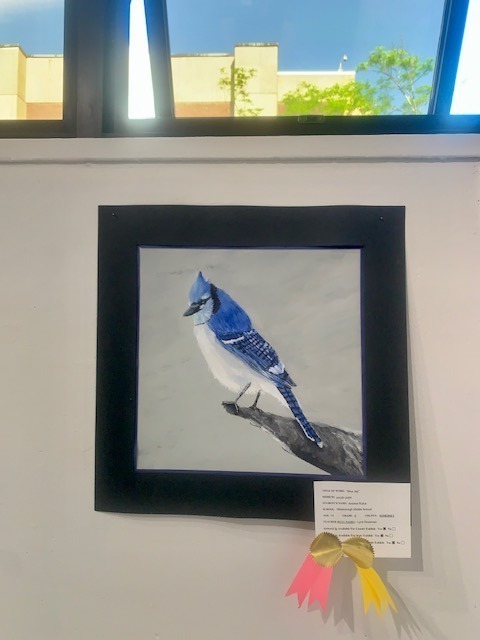Bird
