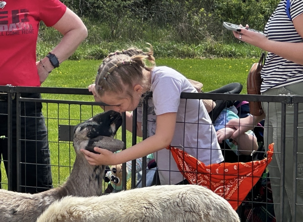 Student giving the sheep a kiss