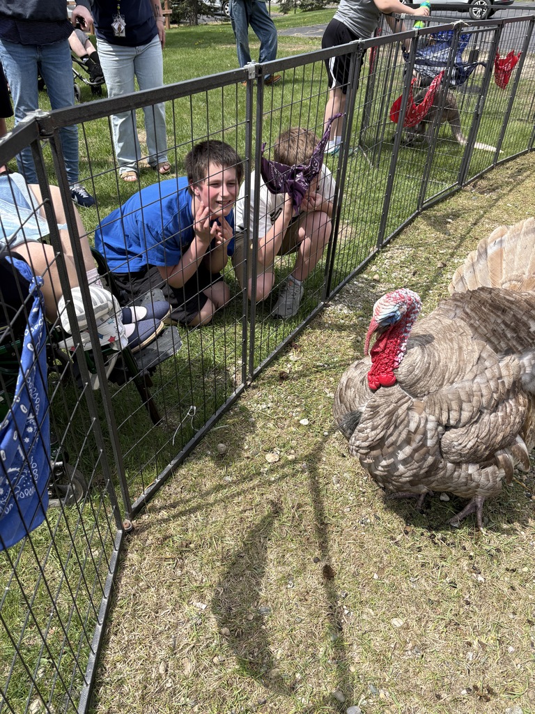 Students look at Turkey